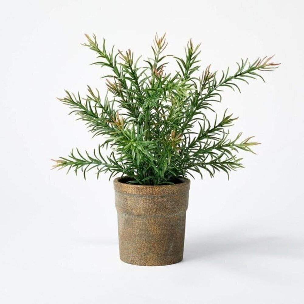 Small Pine Leaf Potted Arrangement - Threshold Studio McGee, Target 2022